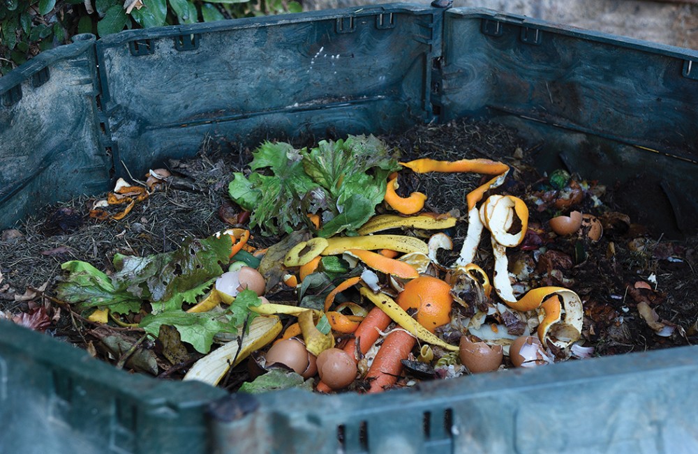 food scraps and compost